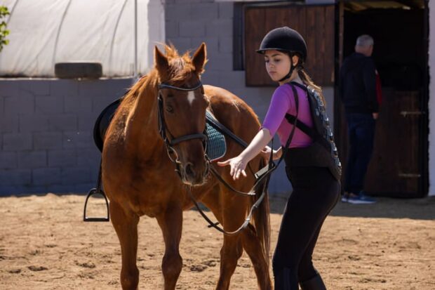 Finding the Perfect Pair of Horse Riding Breeches