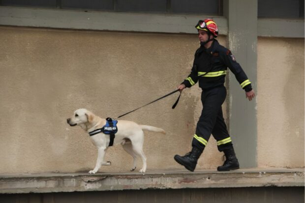 What Should Firefighters Consider When Getting a Dog