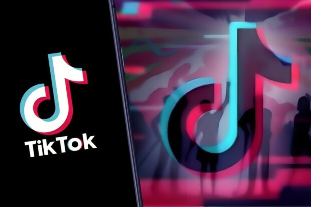 TikTok and Gen Z Understanding the Platform's Appeal