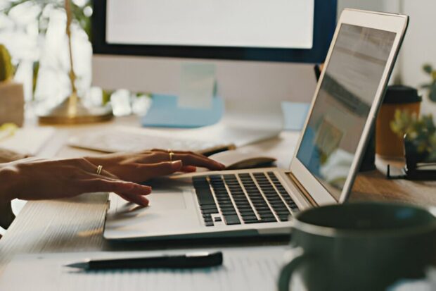 Top 5 Spam Backlinks Checkers You Need For A Clean SEO