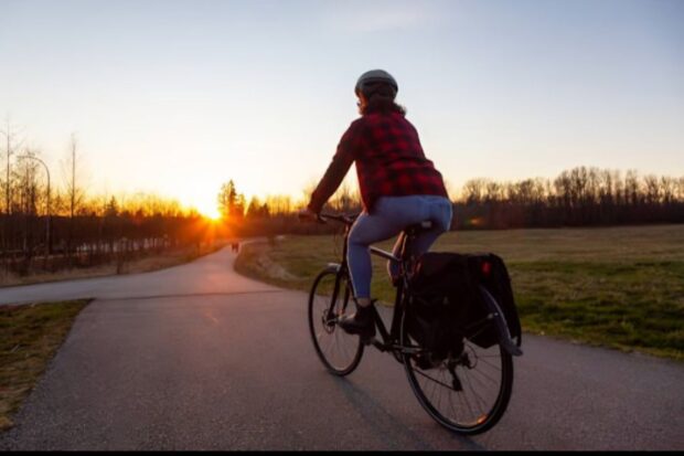 Exploring Offroad Quads: Tips for Beginners