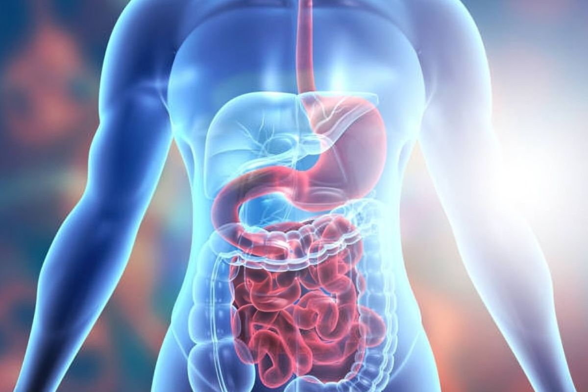 Understanding Digestive Health: I Would like to Present a Short