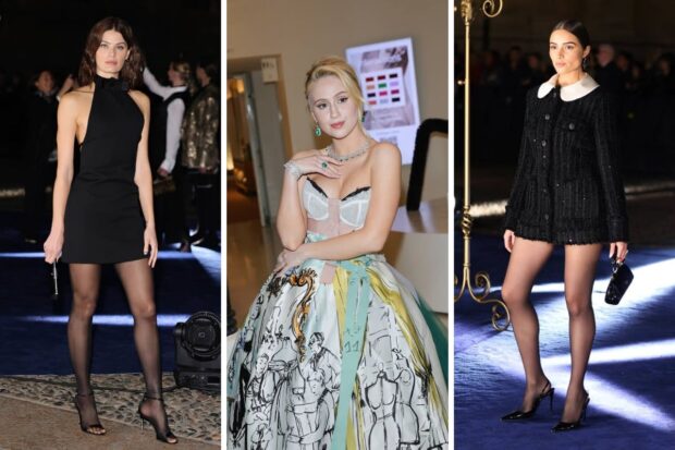 Chic & Classy: A Variety of Dolce & Gabbana Dresses