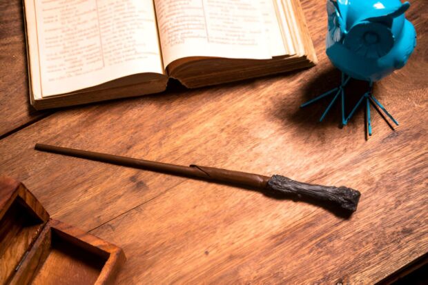 Beyond Elder Explore Different Types of Harry Potter Wands