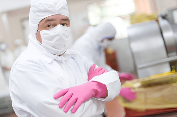 Choosing the Right Food Packaging A Guide for Every Cuisine