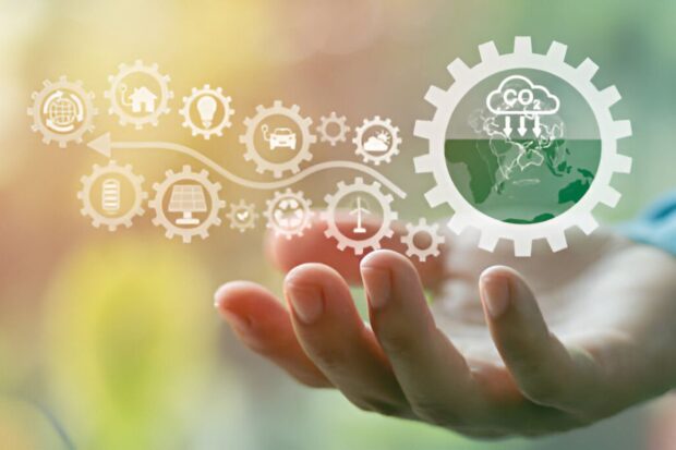 Balancing Profit and Carbon Goals with Sustainability Consulting