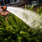 Keeping Your Garden Green Just Got a Whole lot Easier