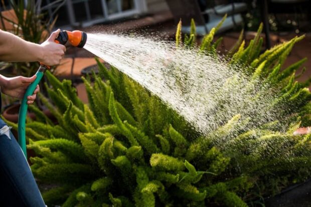 Keeping Your Garden Green Just Got a Whole lot Easier