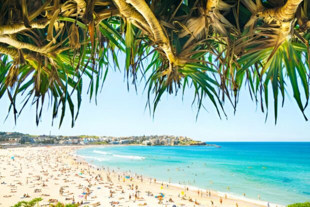 Where to Find the Perfect Beaches for Swimming