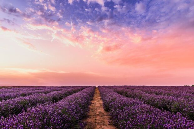 Sky Wallpaper A Window to the Infinite