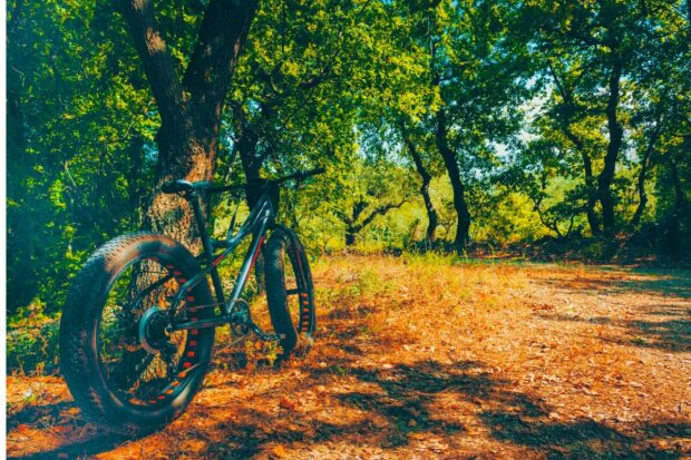 Why is an Electric Bike in Ireland Useful in Everyday Life