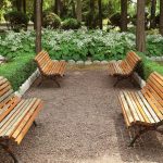 How to Select the Right Timber for Garden Projects