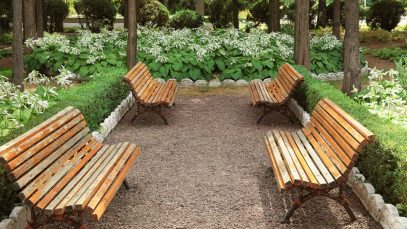 How to Select the Right Timber for Garden Projects