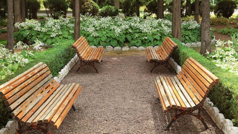 How to Select the Right Timber for Garden Projects