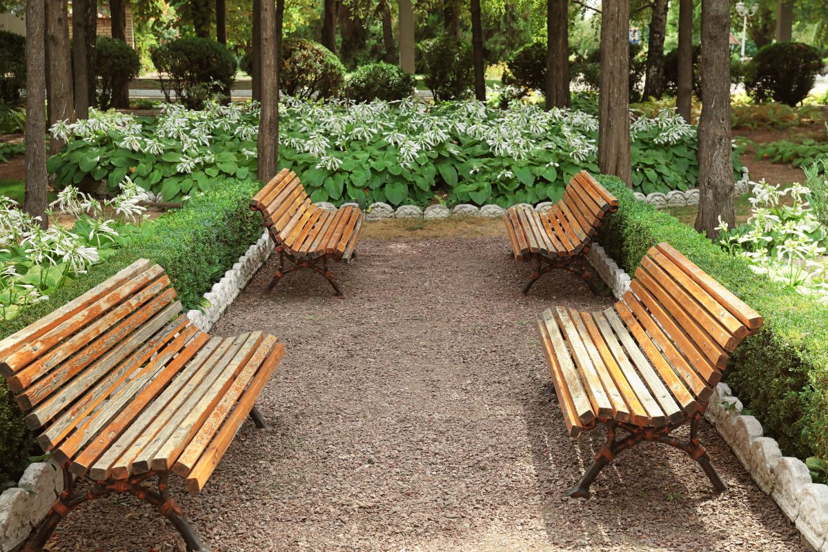 How to Select the Right Timber for Garden Projects