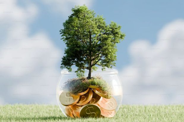 Setareh Heshmat and the Rise of Ethical Wealth: Why ESG Investors Are Changing Southeast Asia